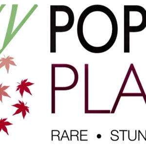 Poppins Plants