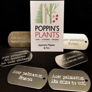 tree tags